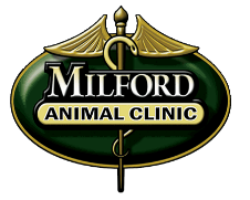 Milford Animal Clinic